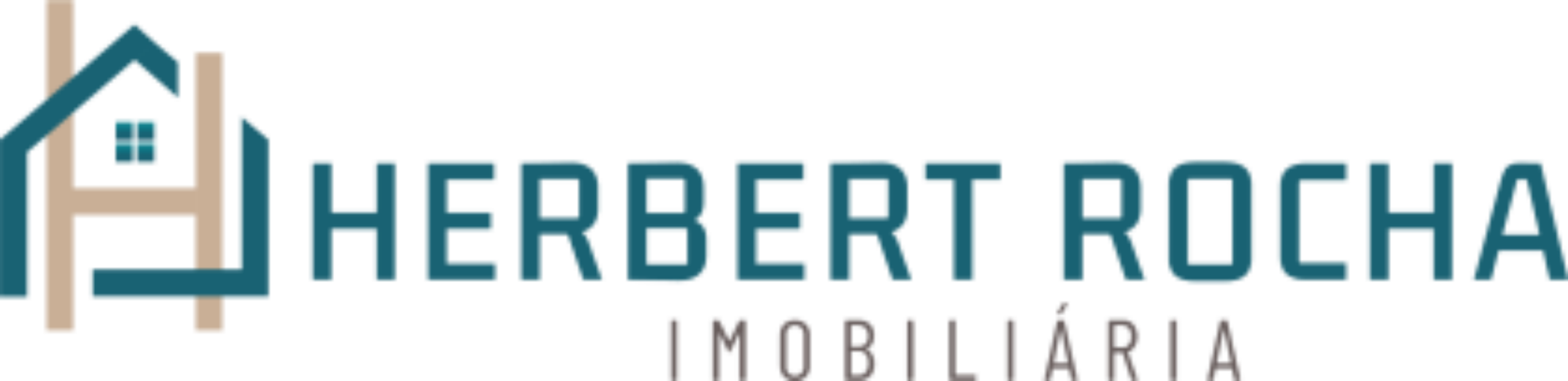 Herbert Rocha